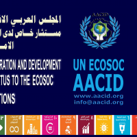 الرؤيا العامة للمجلس